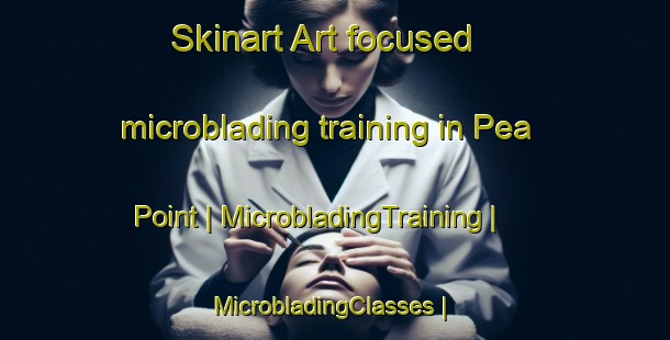 Skinart Art-focused microblading training in Pea Point | MicrobladingTraining | MicrobladingClasses | SkinartTraining-United States